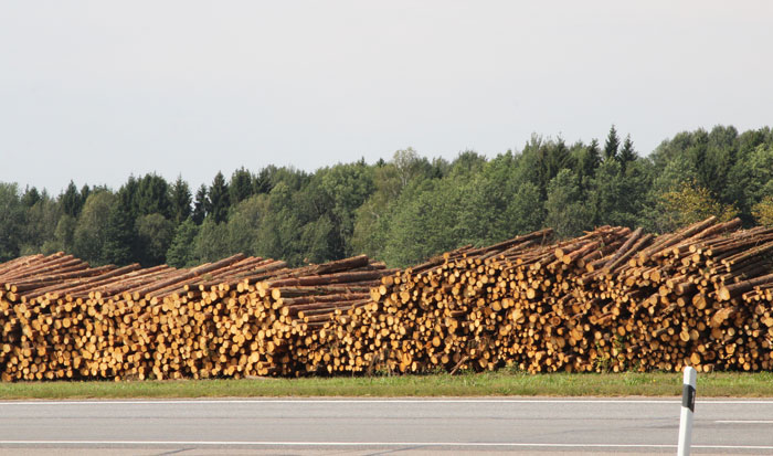 Работа3 в ГЛХУ «Смолевичский лесхоз»