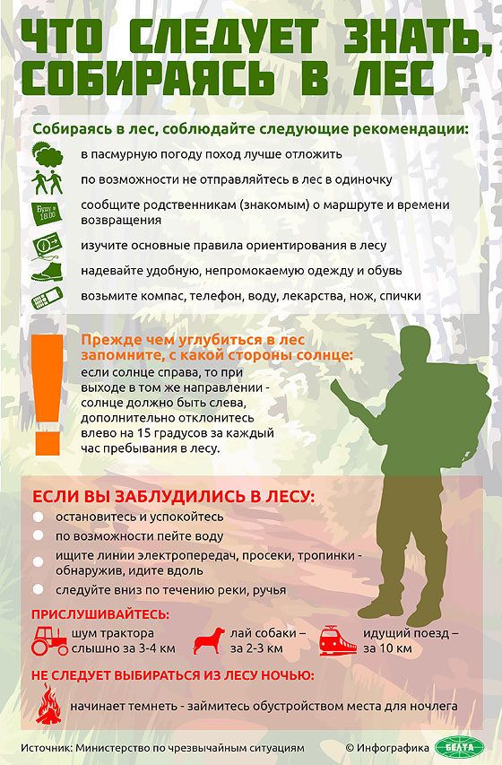 что следует знать отправляясь в лес