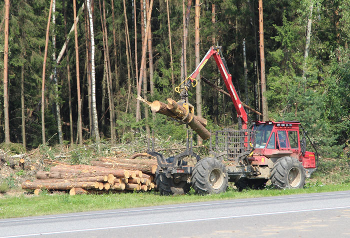 Работа2 в ГЛХУ «Смолевичский лесхоз»