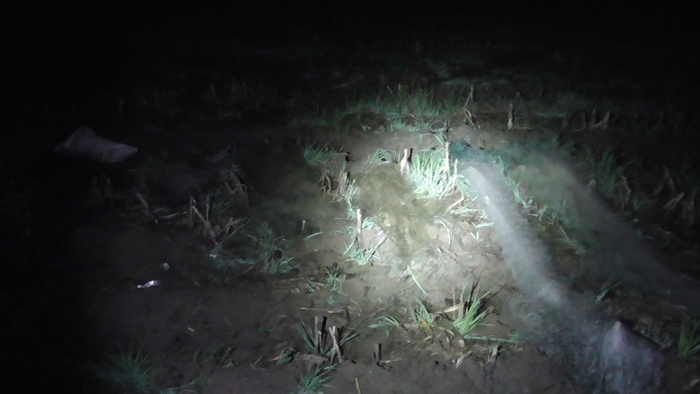 подозревается в незаконной добыче 103 кг рыбы