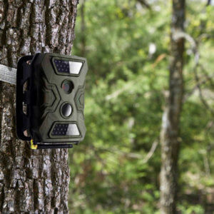 Фотоловушка