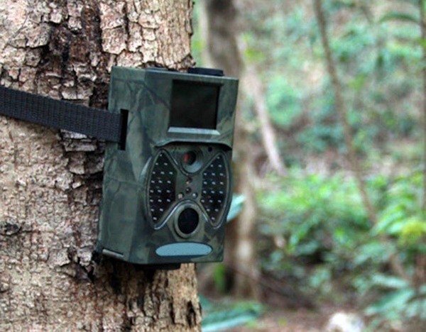 Фотоловушки. Еженедельно с помощью фотоловушек выявляется порядка 10 фактов нарушений