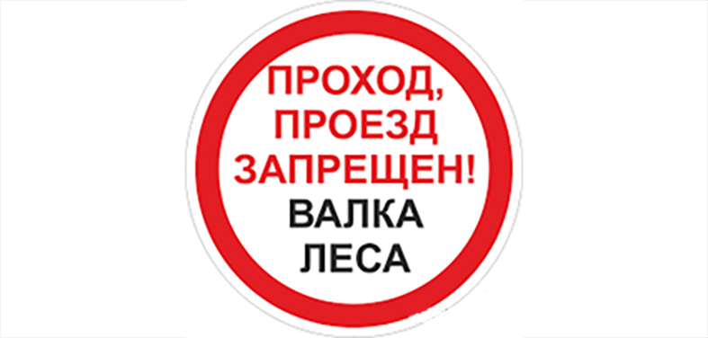 валка копия