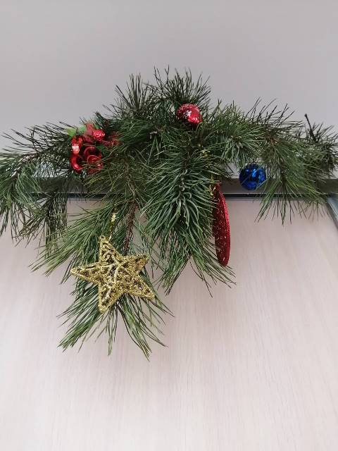 kontora starobinleshoz7