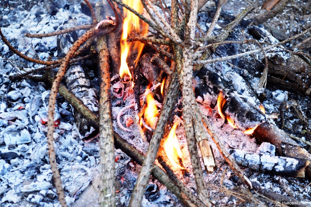 О пожарах в 2021 году