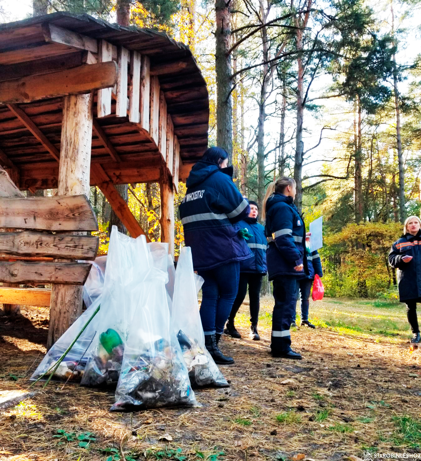 Солигорский горгаз совместно с Департаментом охраны МВД помогали навести порядок в лесу