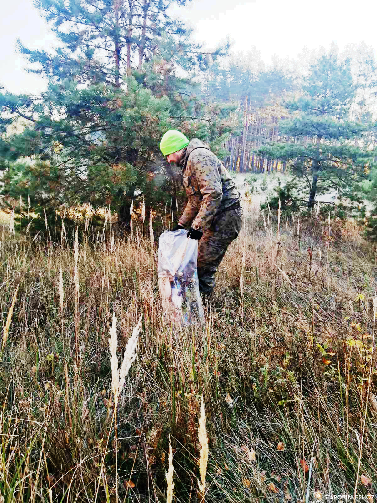 В Старобинском лесхозе стартовала акция 'Чистый лес!'