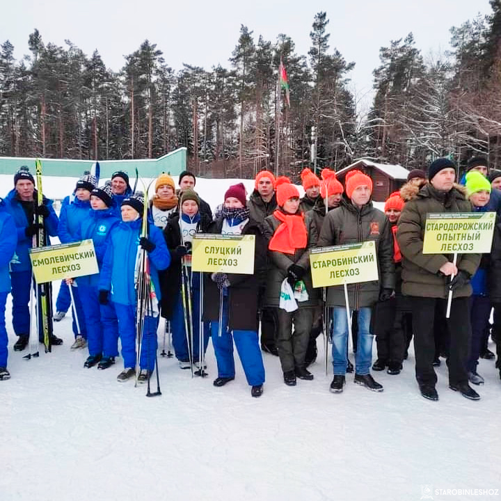 Сегодня состоялась зимняя спартакиада работников лесхозов Минского ГПЛХО