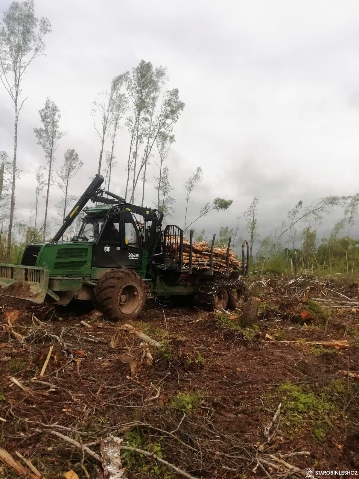Старобинский лесхоз помогает в разработке ветровально-буреломных насаждений в Могилёвской области.