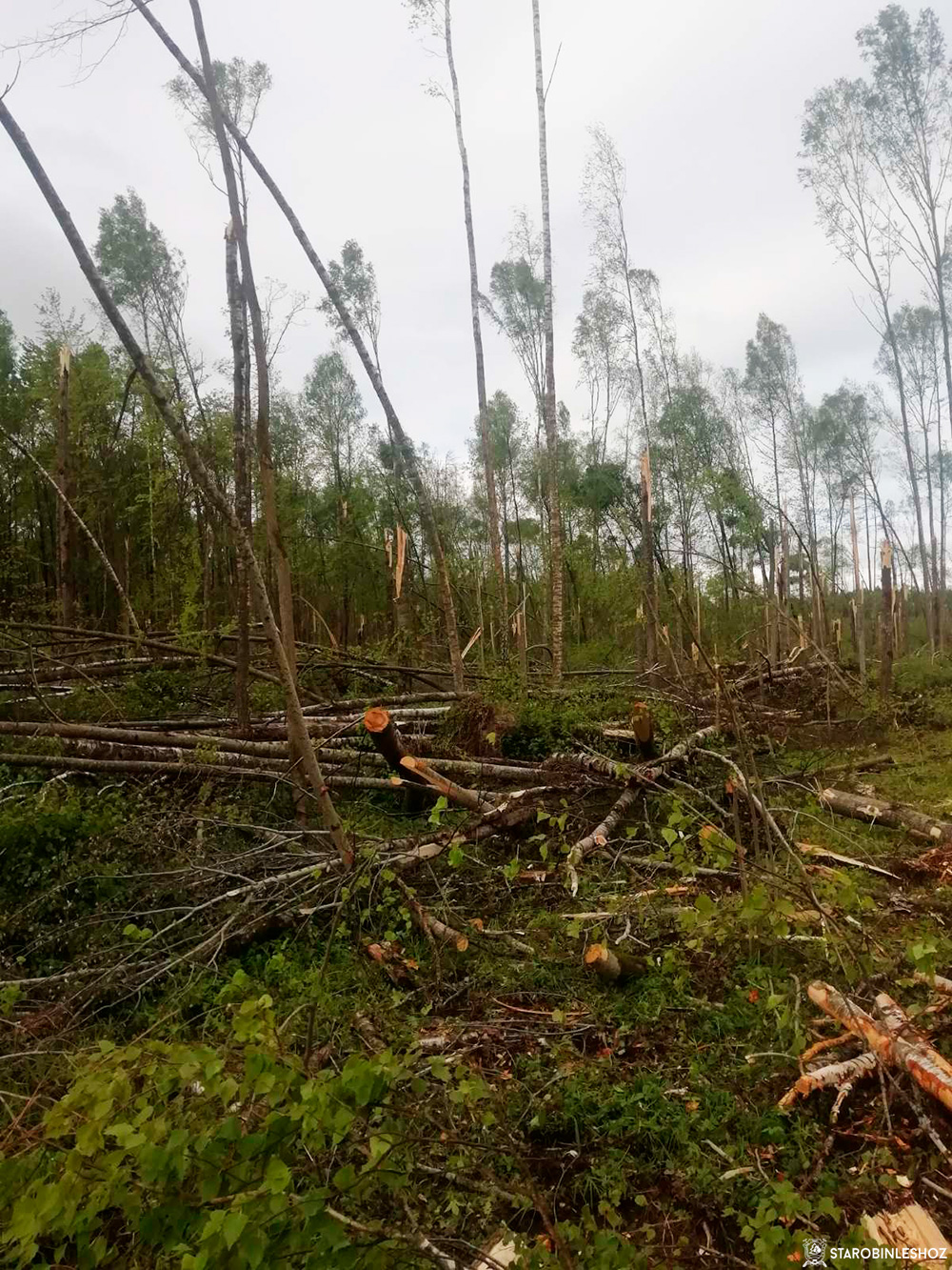 Устраняем последствия шквалистых ветров, прошедших 12-13 мая 2022 года