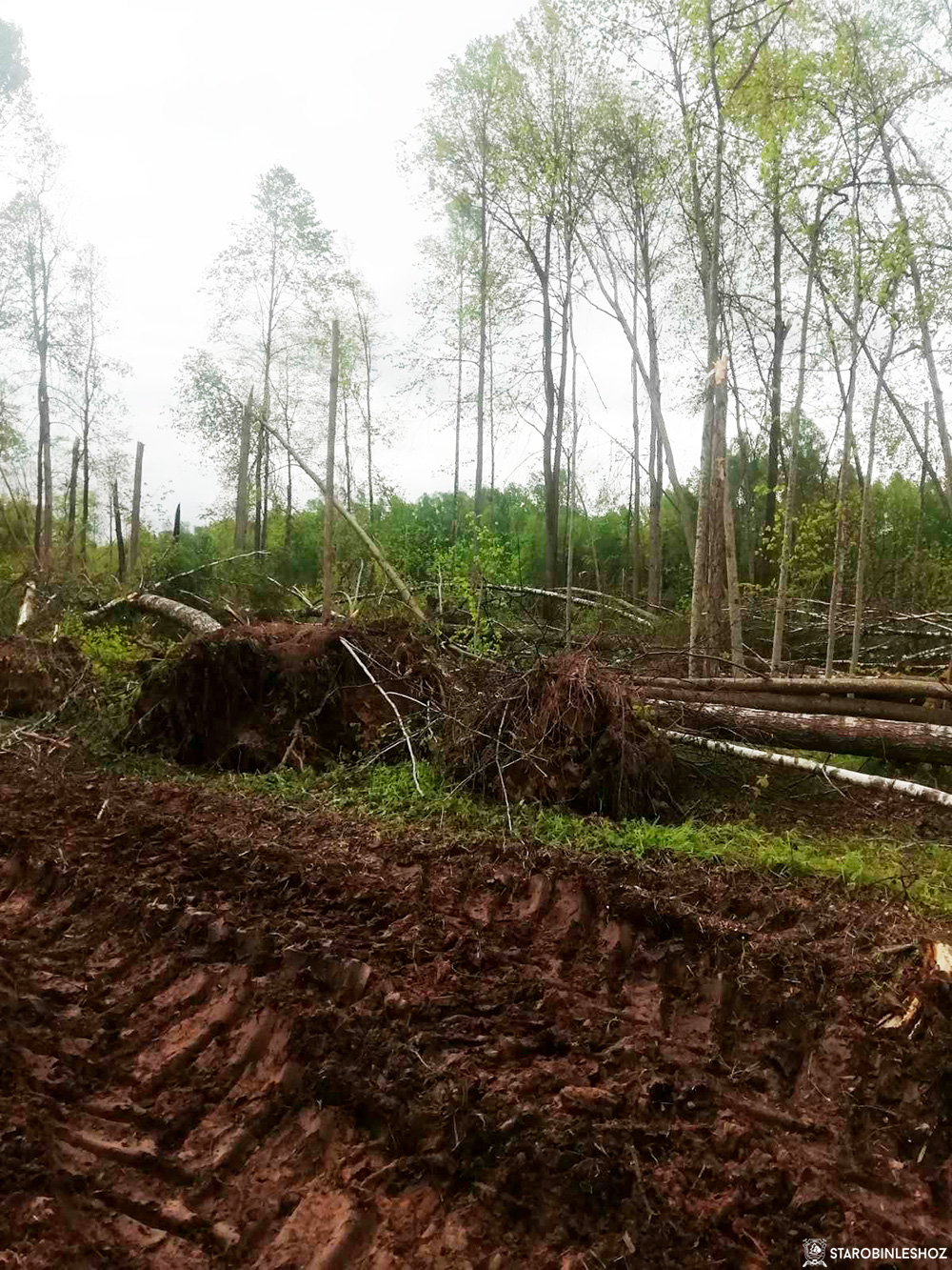 Устраняем последствия шквалистых ветров, прошедших 12-13 мая 2022 года