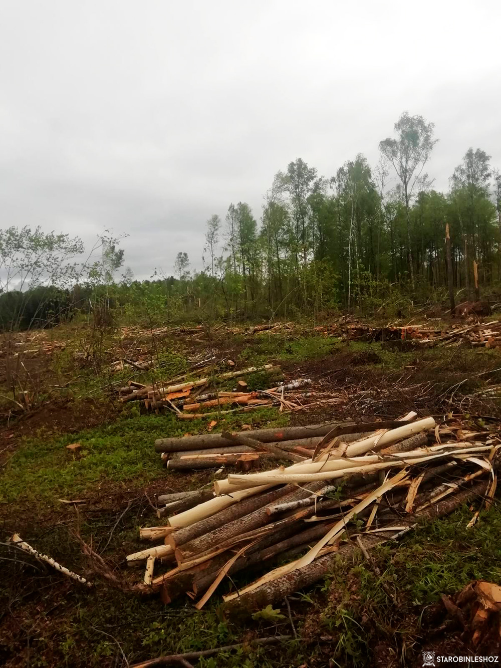 Устраняем последствия шквалистых ветров, прошедших 12-13 мая 2022 года