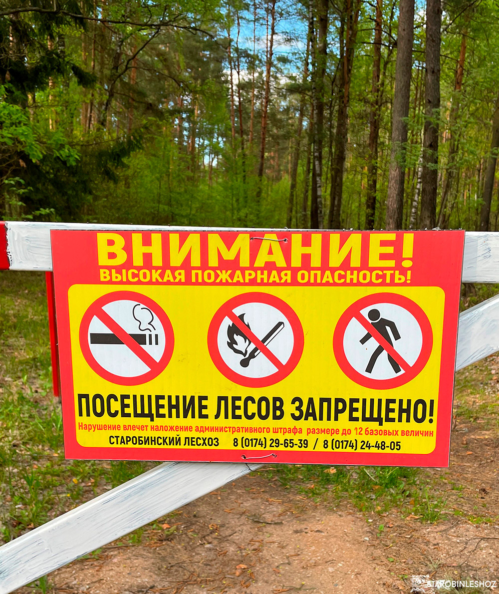Введен запрет на нахождение граждан на территории лесных и торфяных массивов 
