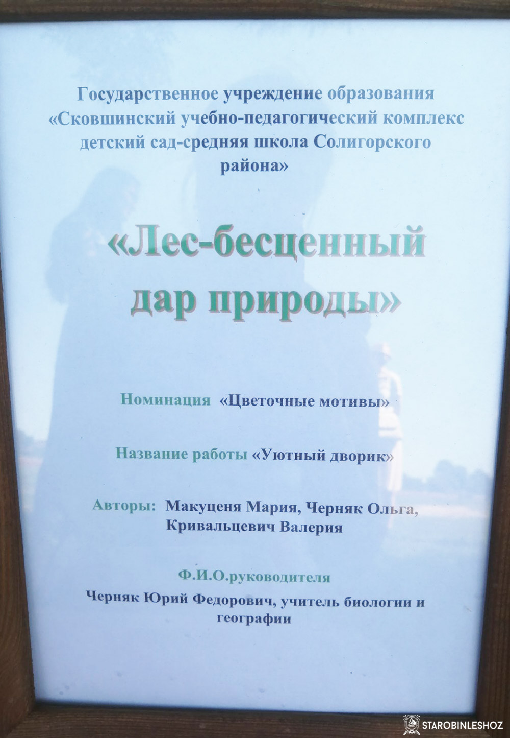 Районный конкурс 'Лес-бесценный дар природы 2022'