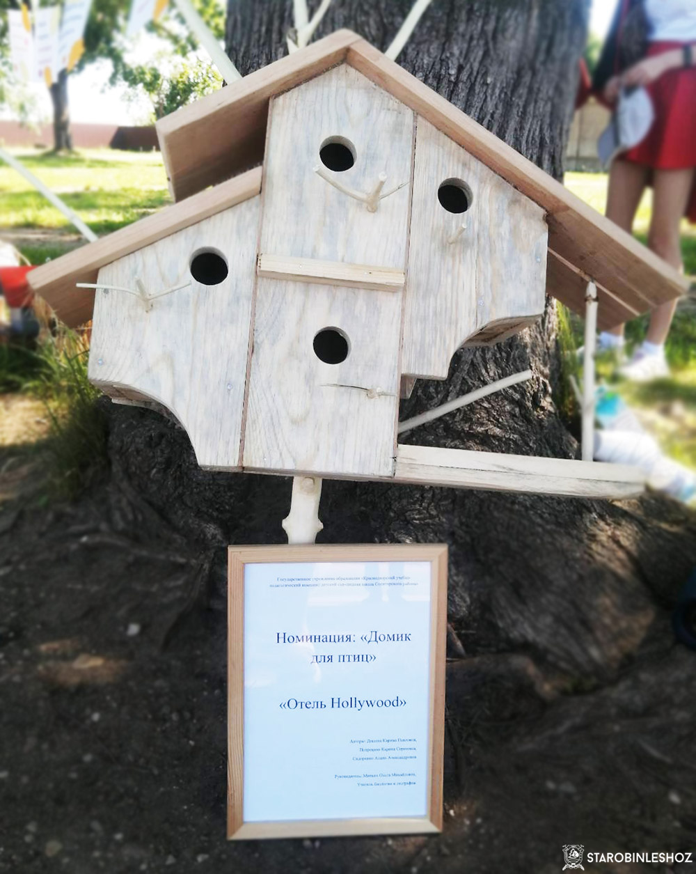 Районный конкурс 'Лес-бесценный дар природы 2022'