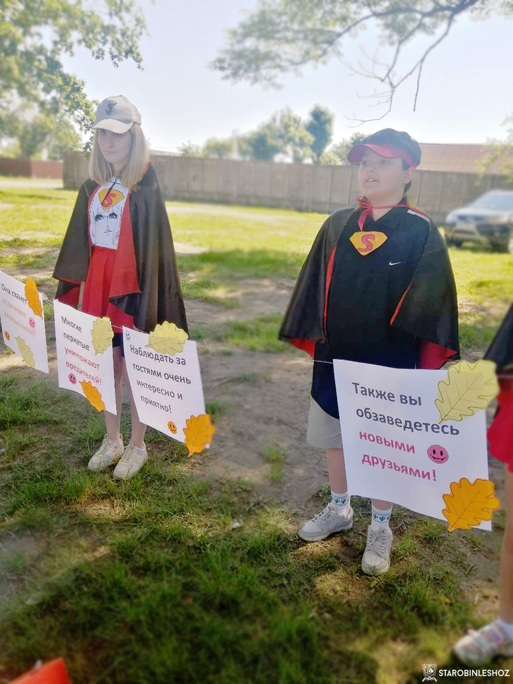 Районный конкурс 'Лес-бесценный дар природы 2022'