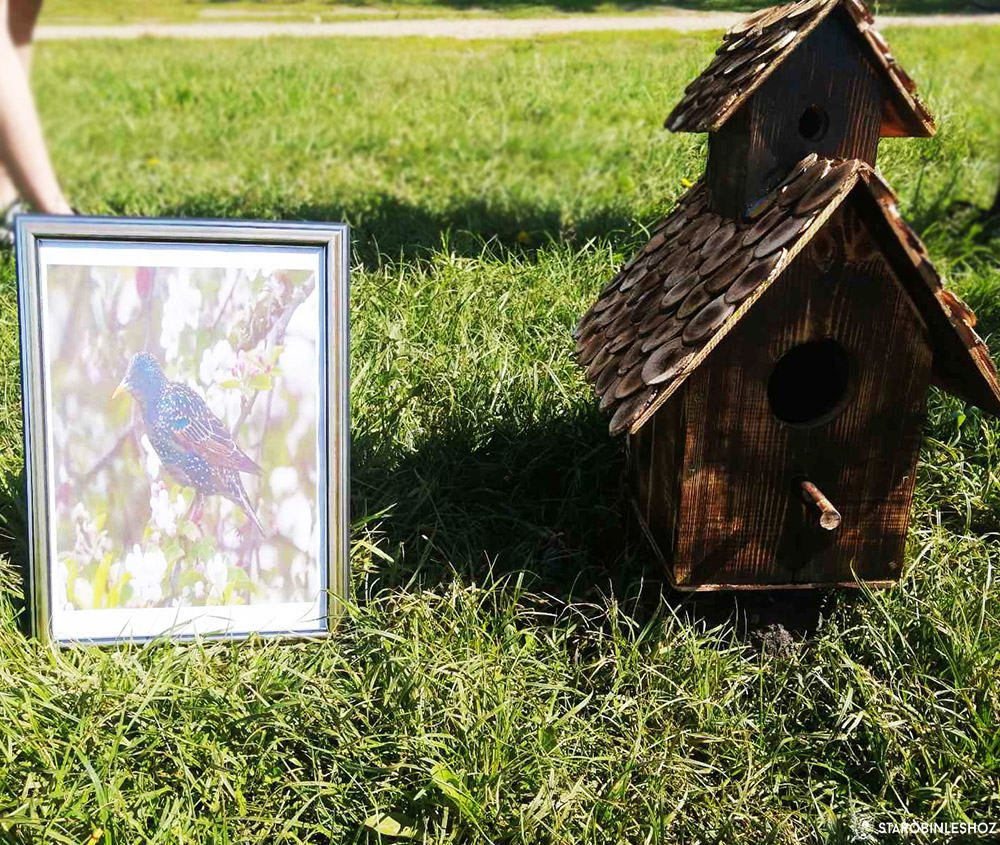 Районный конкурс 'Лес-бесценный дар природы 2022'