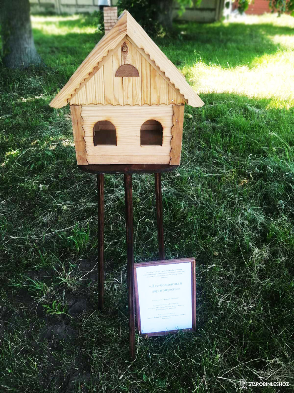 Районный конкурс 'Лес-бесценный дар природы 2022'