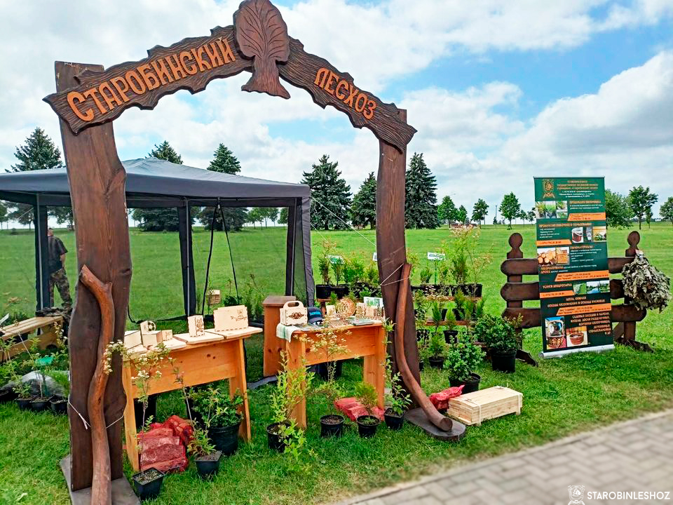 Старобинский лесхоз участвует в выставке "Курган Славы".