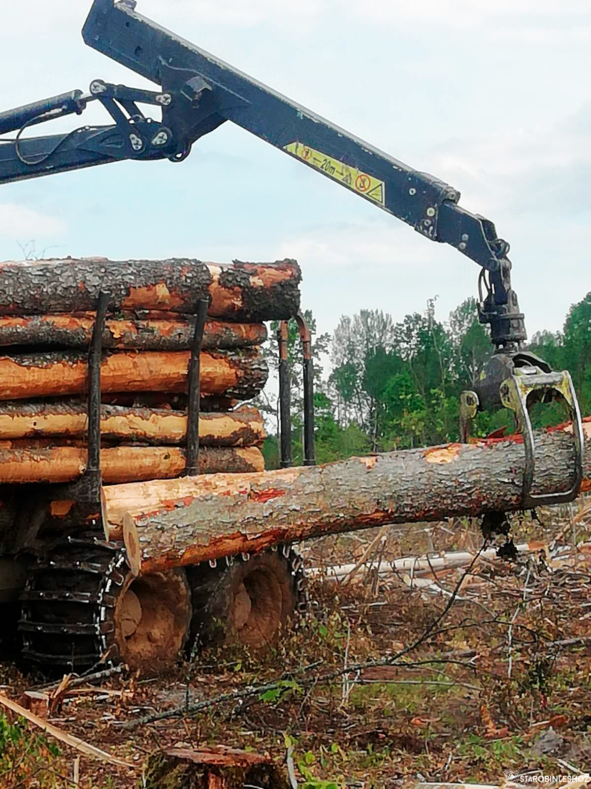 Старобинским лесхозом проведены рубки в пострадавших от ураганных ветров в насаждениях