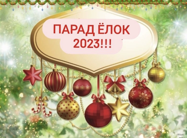 Новогодняя ёлочка Старобинского лесхоза спешит на «Парад ЁЛОК -2023»