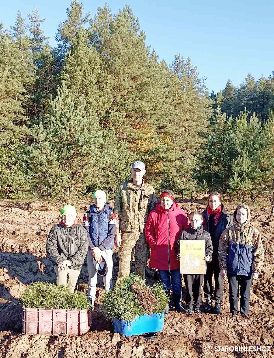 В Старобинском лесхозе продолжается добровольная республиканская акция «Аднавiм лясы разам», инициированная Министерством лесногом хозяйства Беларуси.