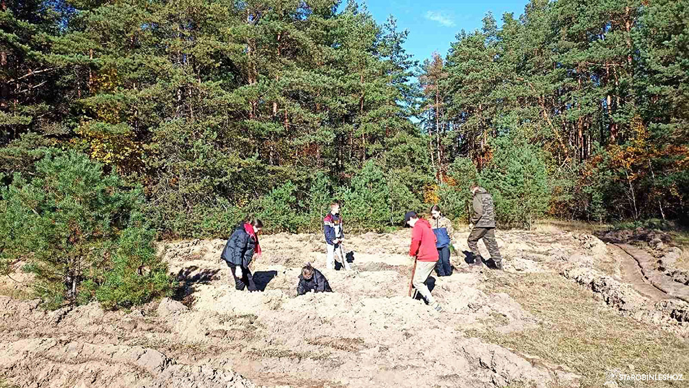 В Старобинском лесхозе продолжается добровольная республиканская акция «Аднавiм лясы разам», инициированная Министерством лесногом хозяйства Беларуси.