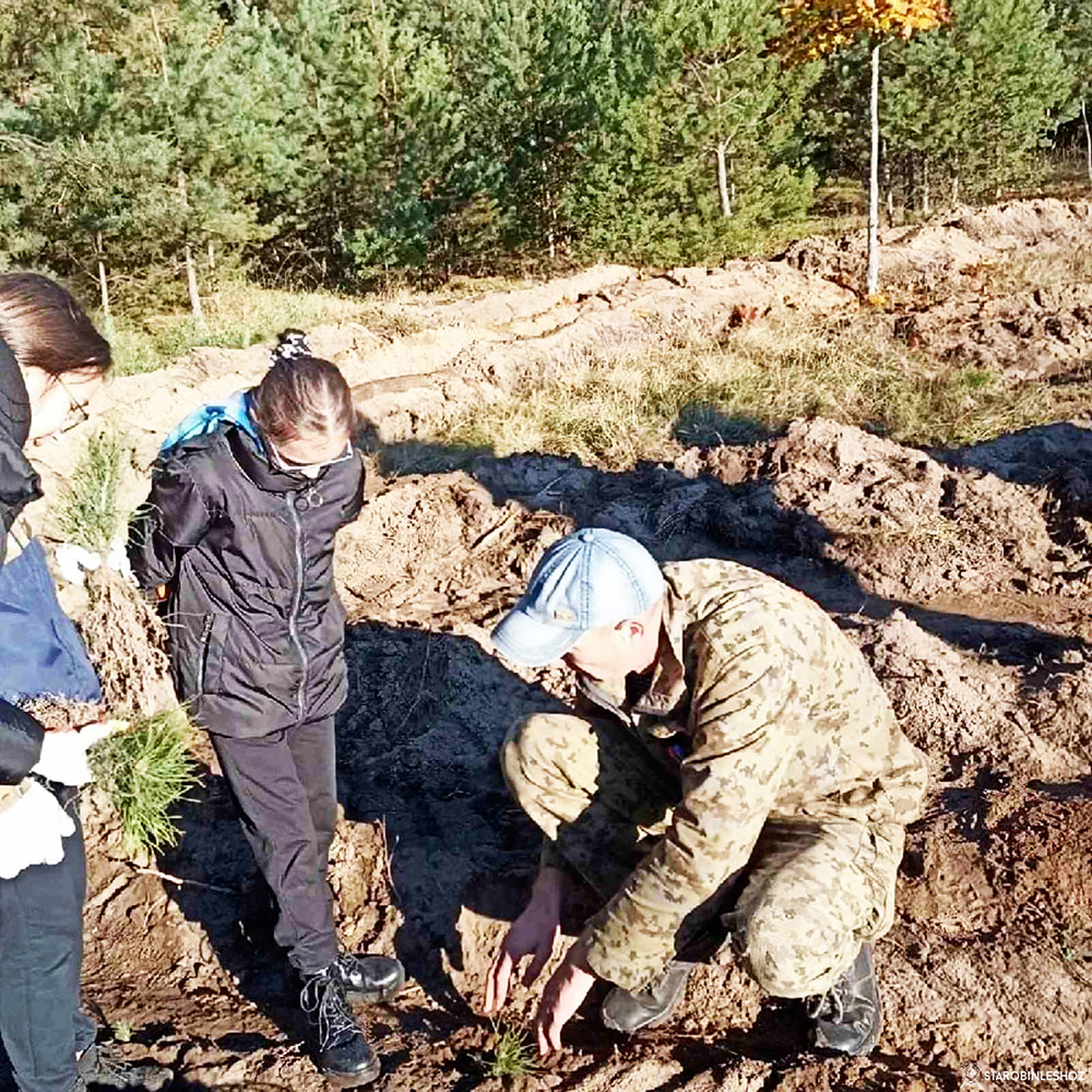 В Старобинском лесхозе продолжается добровольная республиканская акция «Аднавiм лясы разам», инициированная Министерством лесногом хозяйства Беларуси.