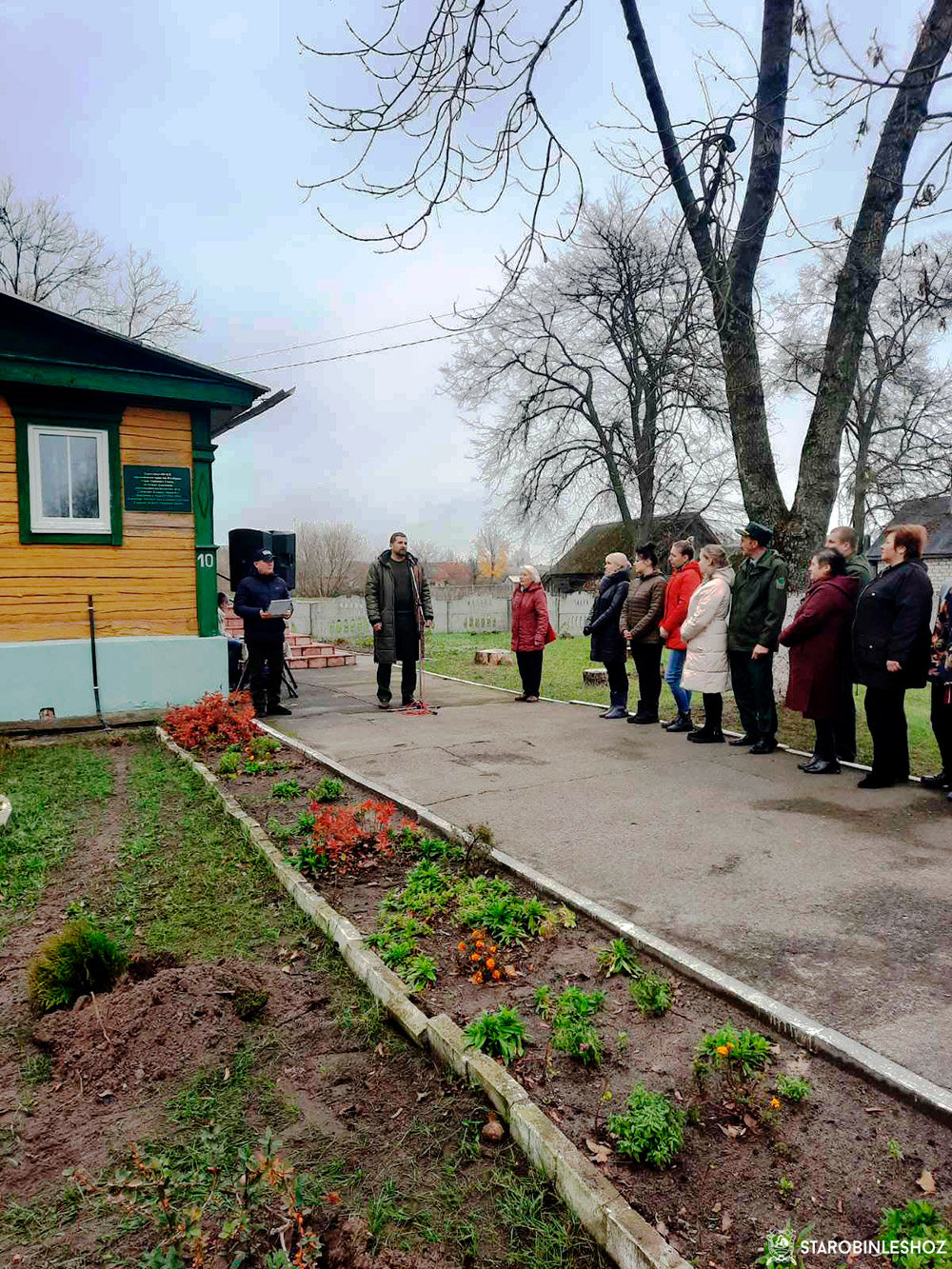 Посажена аллея кустарников