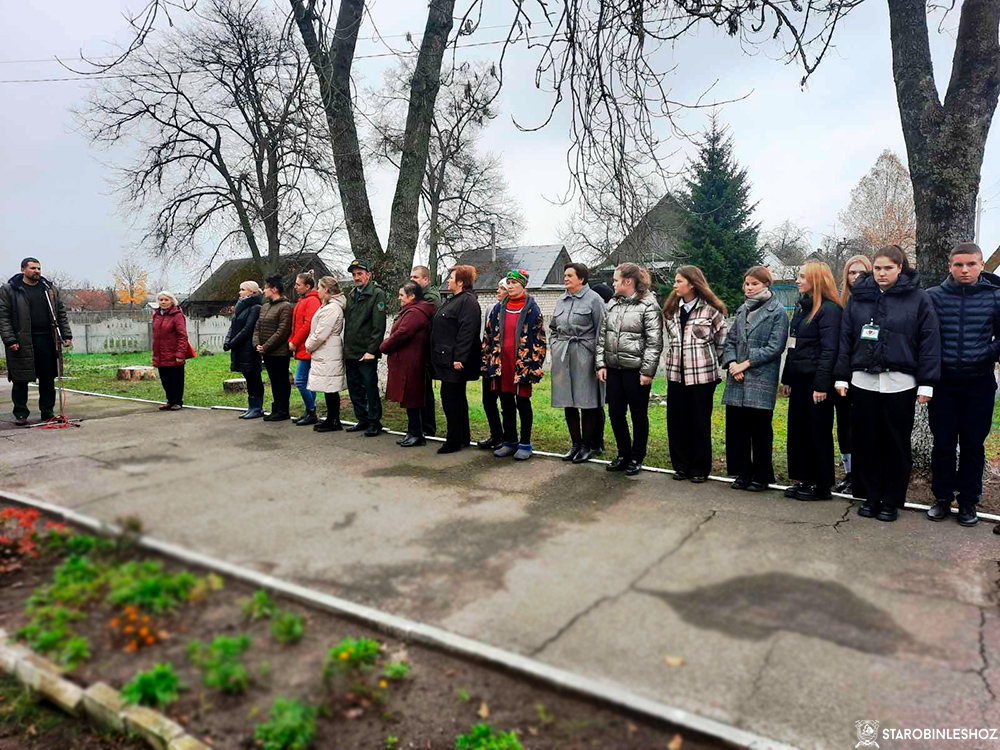 Посажена аллея кустарников