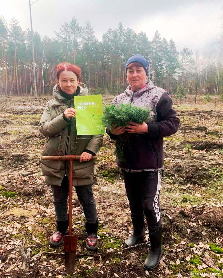 Участие в акции 'Неделя леса - 2023'