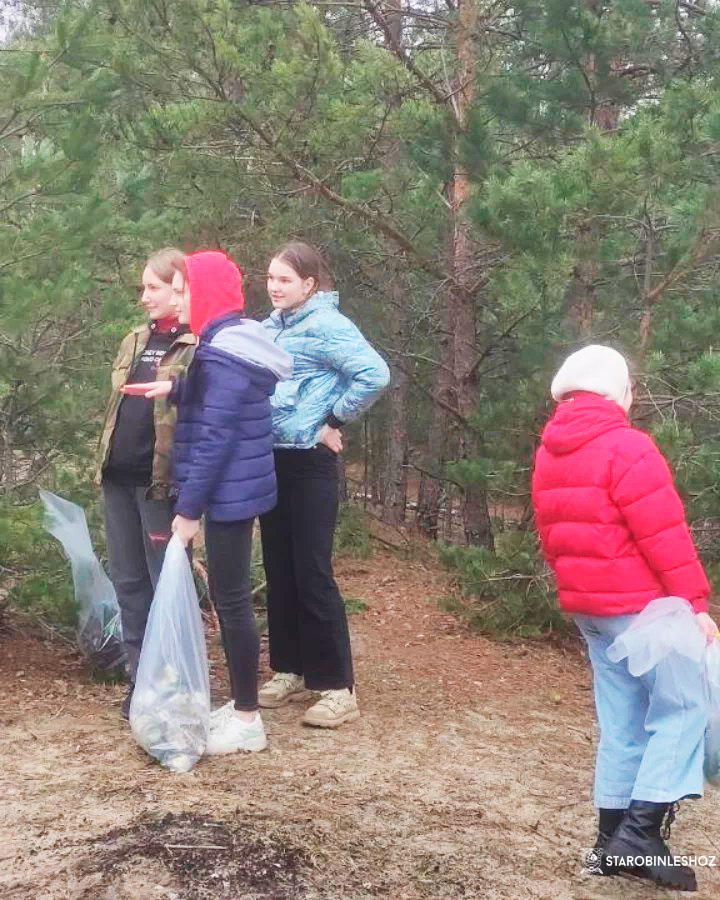 Участие в акции 'Неделя леса - 2023'