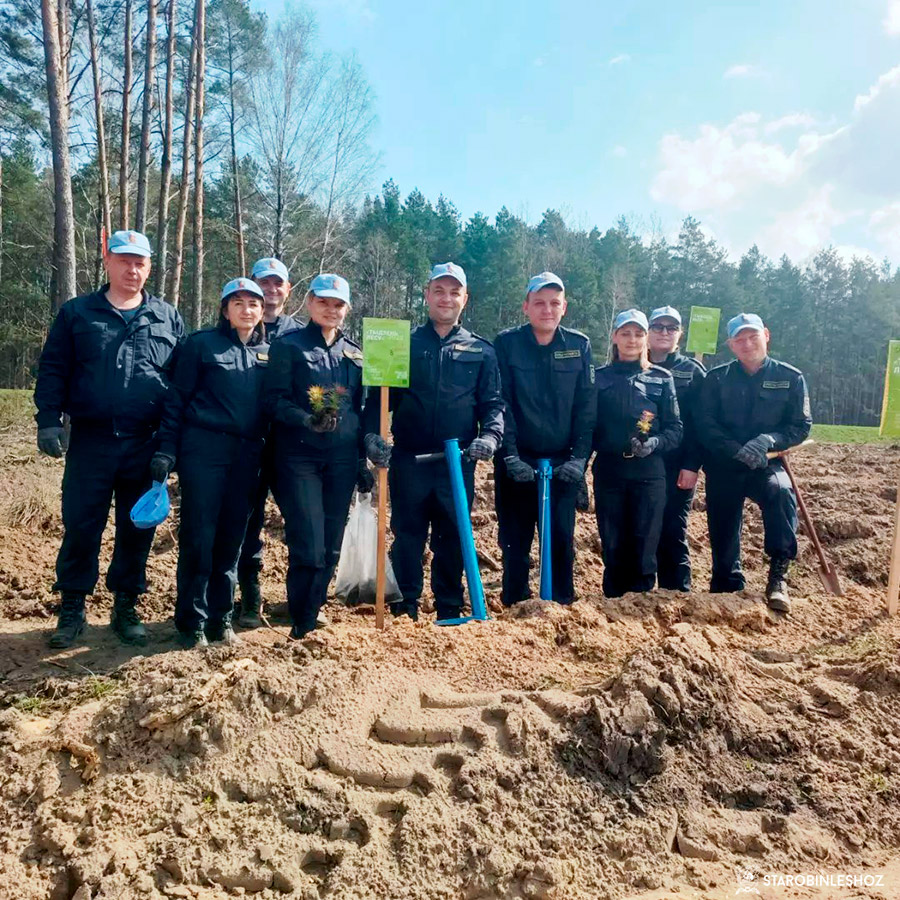 Работники Следственного комитета  приняли участие в акции 'Неделя леса - 2023'