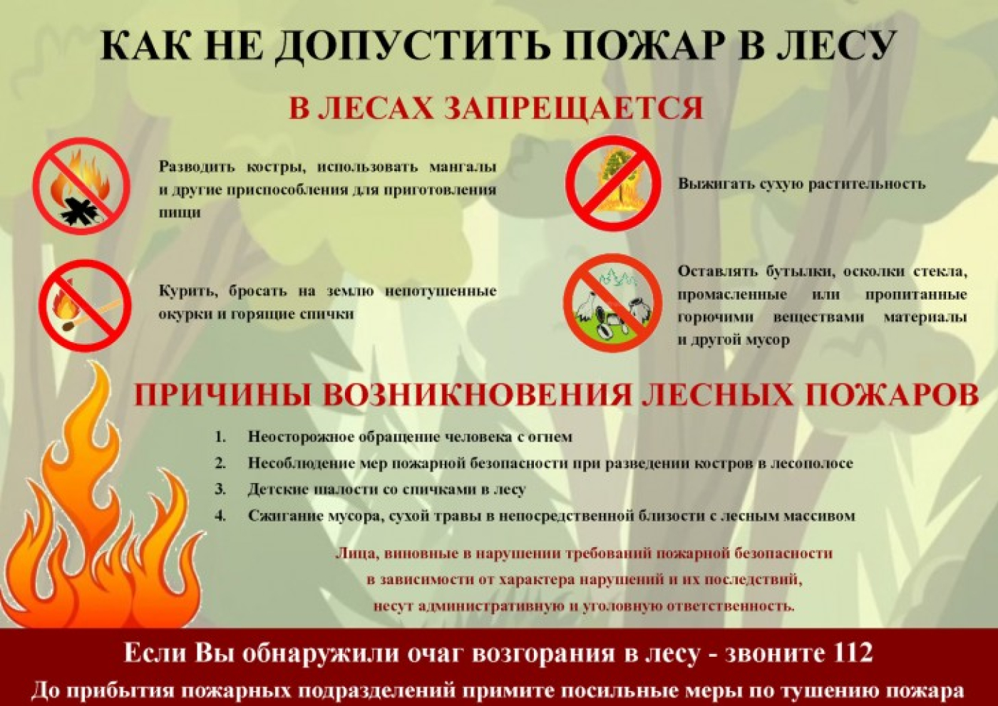 По состоянию на 13.07.2023 на территории Солигорского района действует ограничение на посещение лесов (III класс пожарной опасности).
