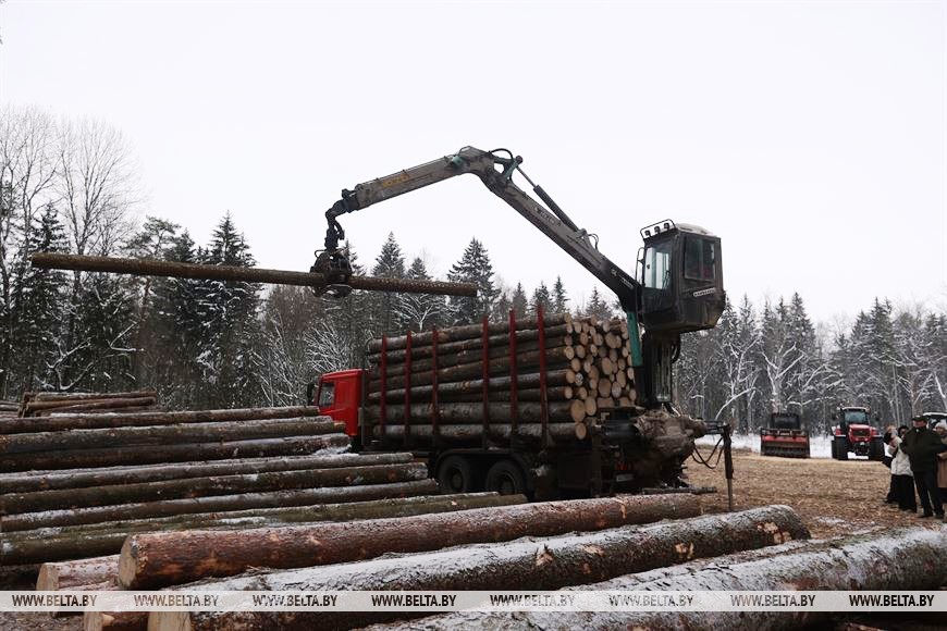 Беларусь и Россия интегрируют системы учета древесины