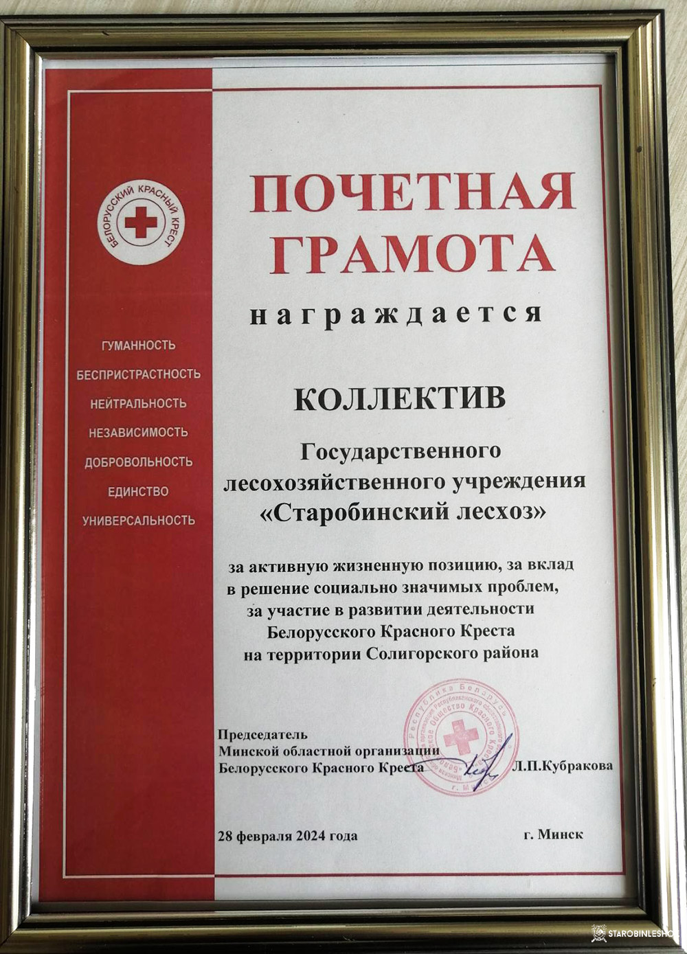 XIX внеочередная выборочная конференция Солигорской районной организации РОО «Белорусское Общество Красного Креста»
