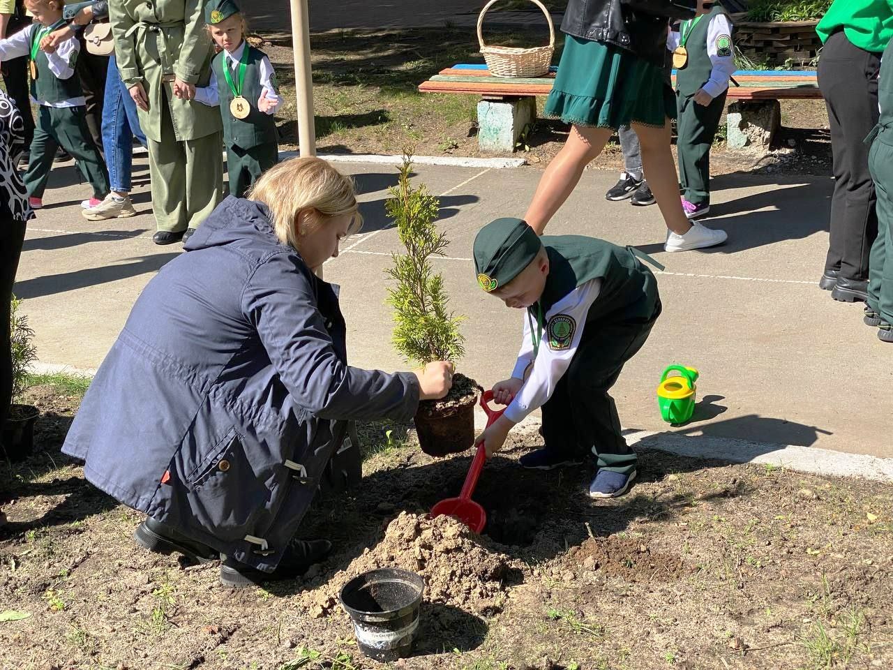 ВТОРОЕ ДОШКОЛЬНОЕ ЛЕСНИЧЕСТВО В СТАРОБИНСКОМ ЛЕСХОЗЕ
