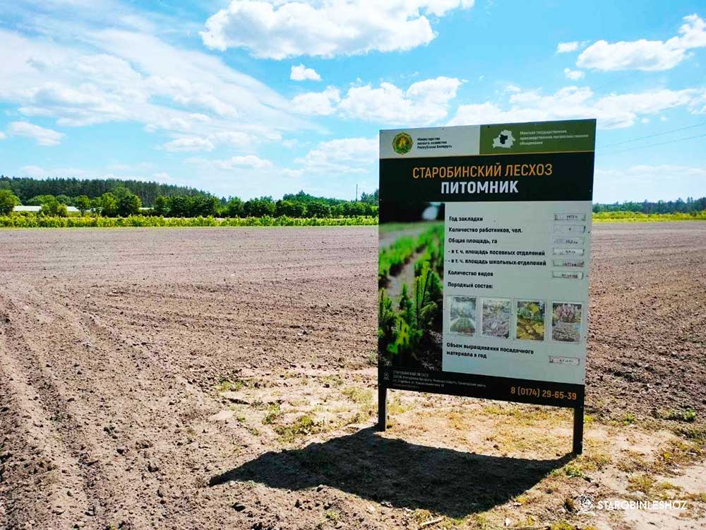 АТТЕСТАЦИЯ ЛЕСОПИТОМНИКА