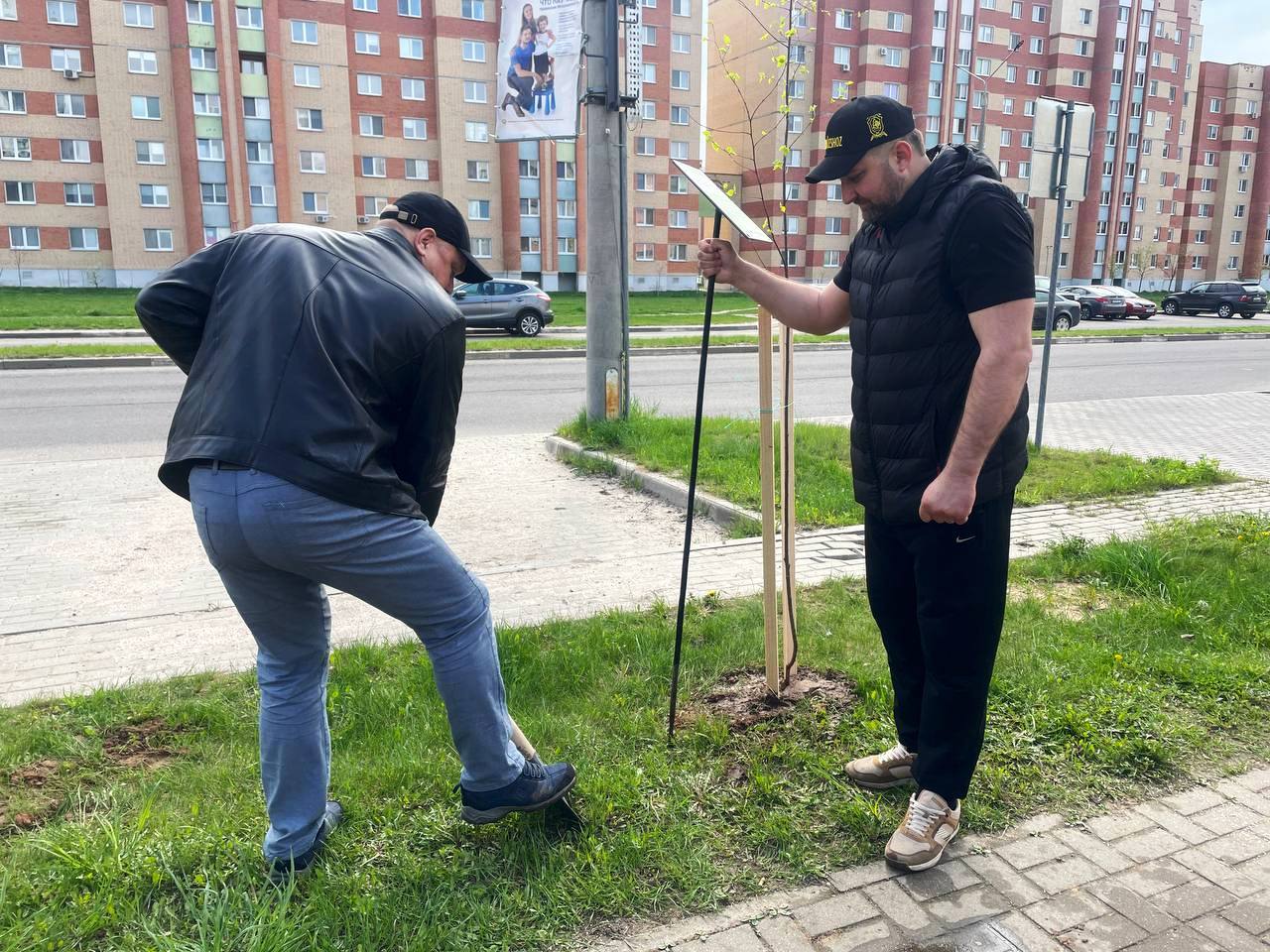 80 новых саженцев украсили улицу Воскресенская.