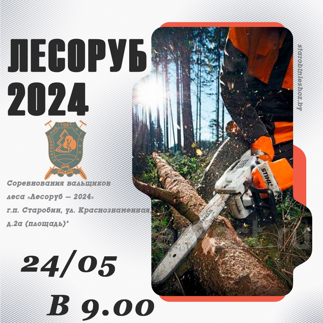 Лесоруб 2024