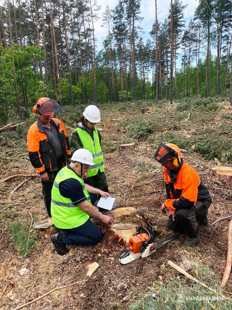 МОНИТОРИНГ ПО ОХРАНЕ ТРУДА ОТРАСЛЕВОГО ПРОФСОЮЗА