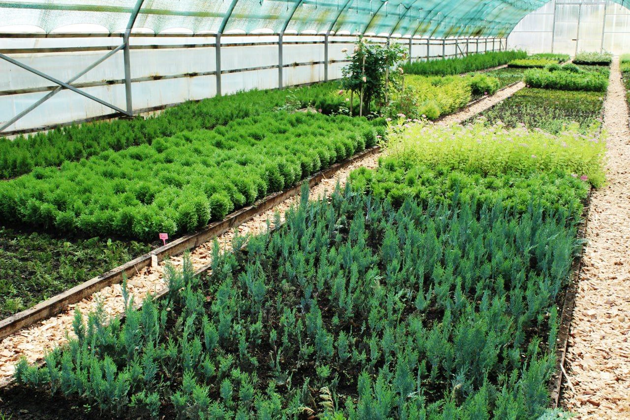 О том, как сохранить, приумножить для последующих поколений лесные массивы родного края, говорили участники областного семинара-совещания, который прошел на Узденщине 