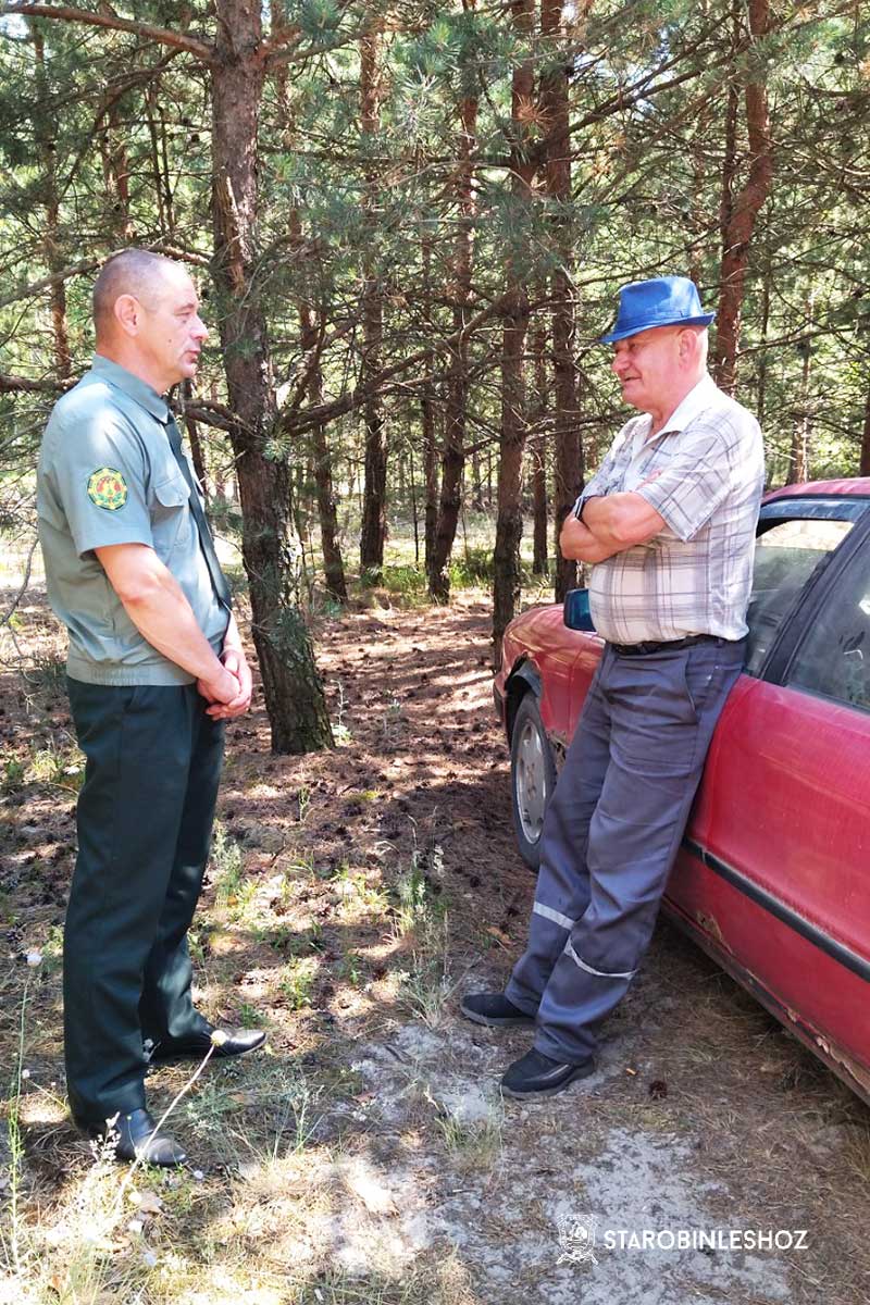 Лесная охрана переведена на усиленный режим работы