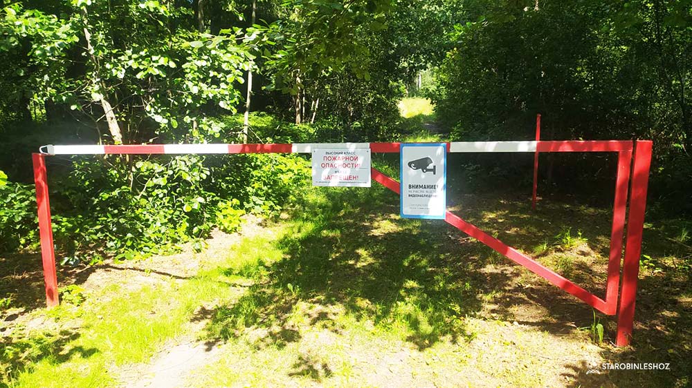 Лесная охрана переведена на усиленный режим работы