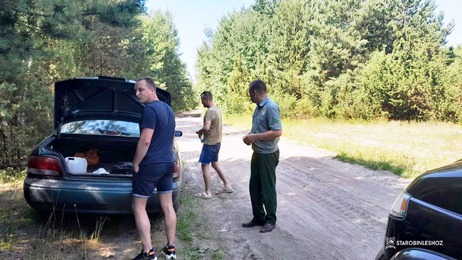Рейдовые мероприятия в Старобинском лесхозе продолжаются