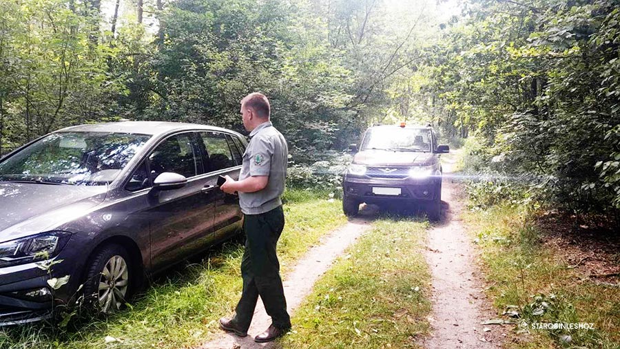 Рейдовые мероприятия в Старобинском лесхозе продолжаются