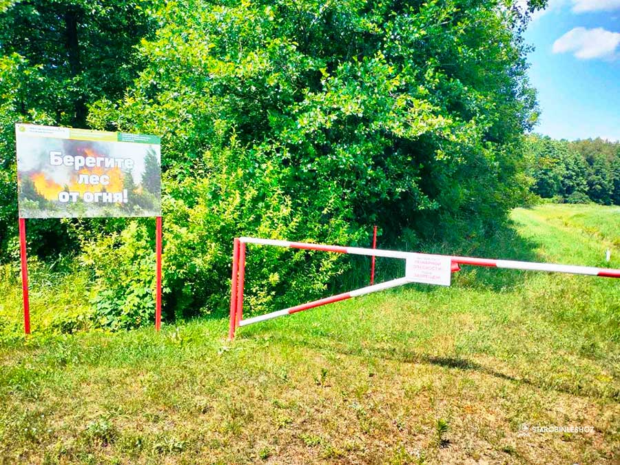 Рейдовые мероприятия в Старобинском лесхозе продолжаются