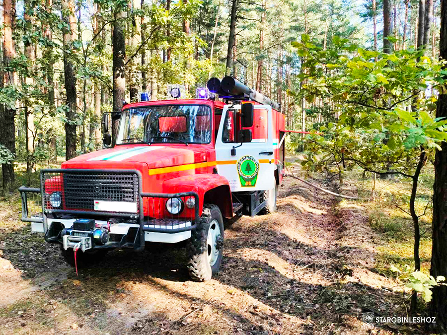 пожар на территории Листопадовичского лесничества 