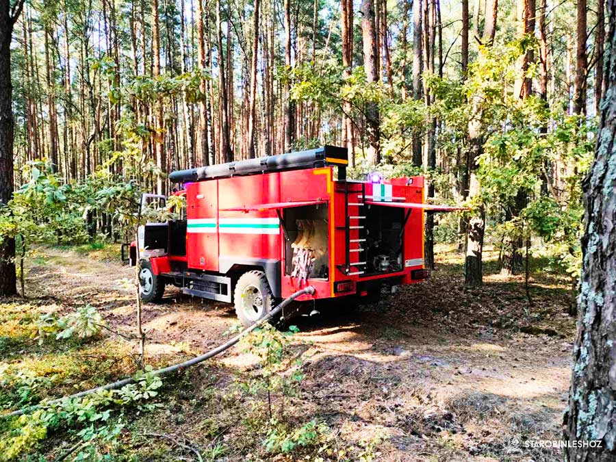 пожар на территории Листопадовичского лесничества 