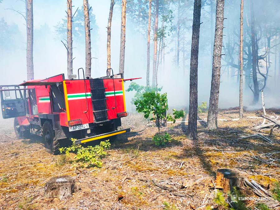 пожар на территории гражданского кладбища Драчева